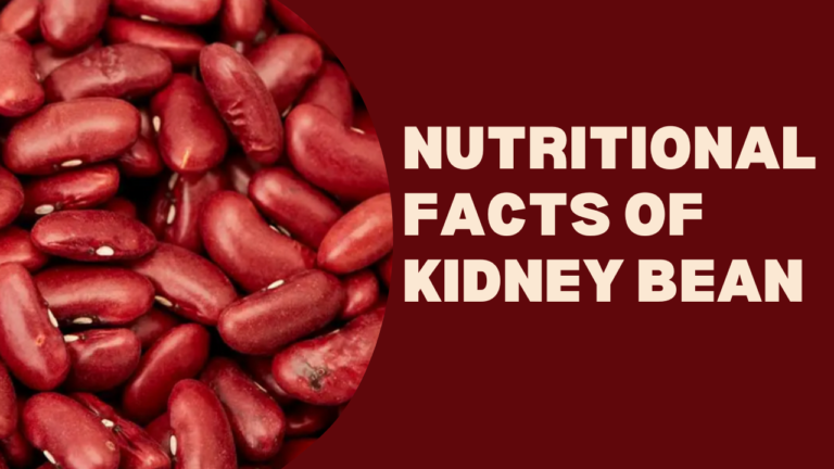 Nutrition Facts of Kidney Bean