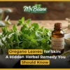 Oregano Leaves for Skin: A Hidden Herbal Remedy You Should Know