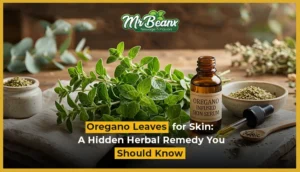 Oregano Leaves for Skin: A Hidden Herbal Remedy You Should Know