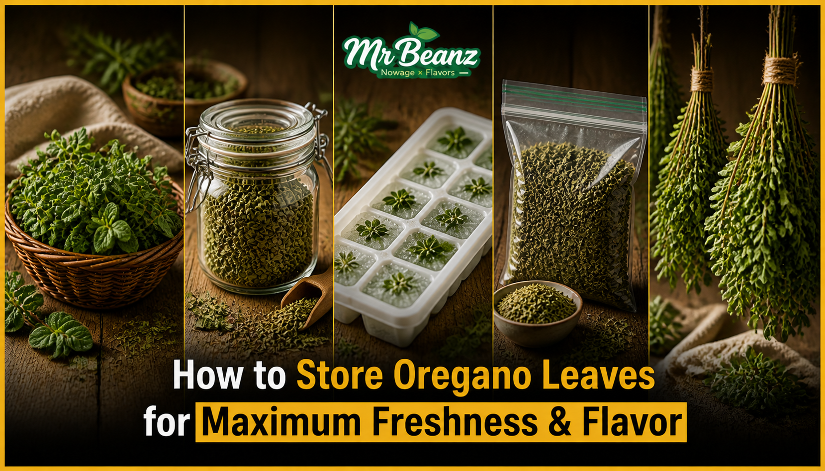 How to Store Oregano Leaves for Maximum Freshness & Flavor