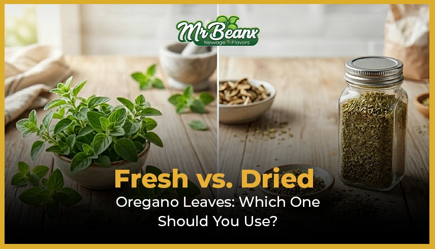 Fresh vs Dried Oregano Leaves Which One Should You Use