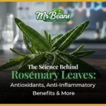 The Science Behind Rosemary Leaves Antioxidants, Anti-Inflammatory Benefits & More