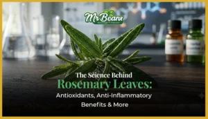 The Science Behind Rosemary Leaves Antioxidants, Anti-Inflammatory Benefits & More