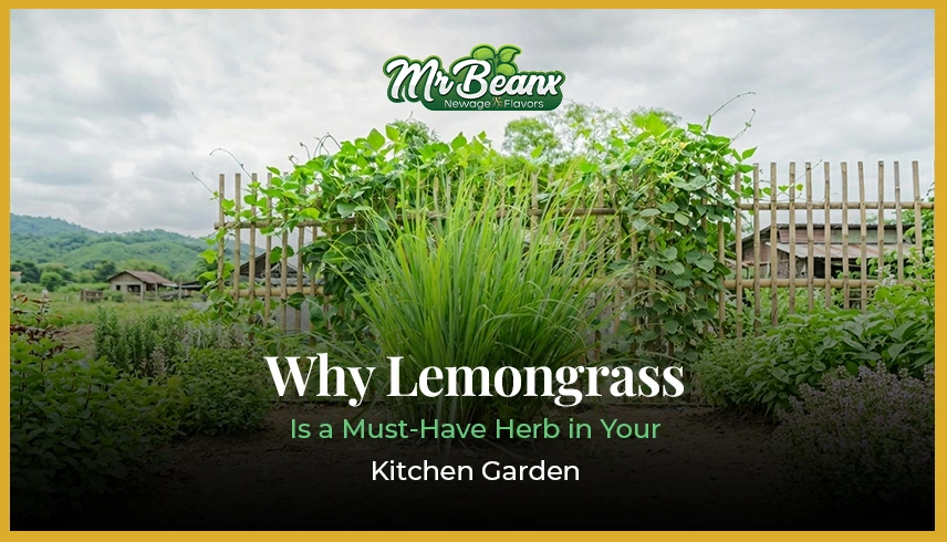 Why Lemongrass Is a Must-Have Herb in Your Kitchen Garden