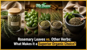 Rosemary Leaves vs. Other Herbs What Makes It a Superior Organic Choice