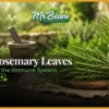 How Rosemary Leaves Strengthen the Immune System Naturally