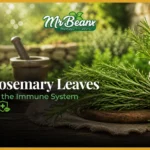 How Rosemary Leaves Strengthen the Immune System Naturally