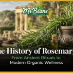 The History of Rosemary: From Ancient Rituals to Modern Organic Wellness