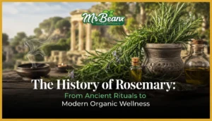 The History of Rosemary: From Ancient Rituals to Modern Organic Wellness